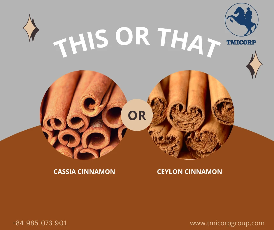 CASSIA CINNAMON & CEYLON CINNAMON, WHAT ARE THE DIFFERENCES?